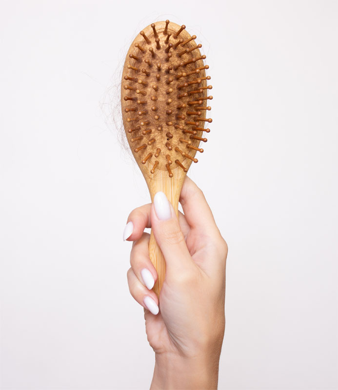 buerste2_susan_fischer